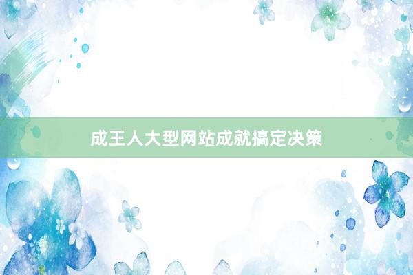 成王人大型网站成就搞定决策