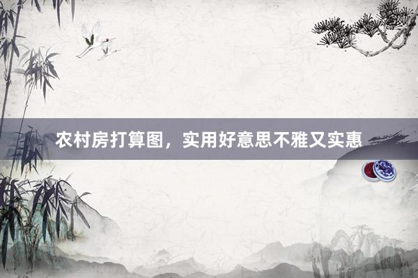 农村房打算图，实用好意思不雅又实惠
